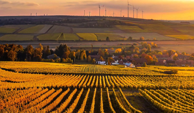 Sustainability Report 2024